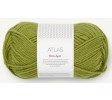 9564 matcha