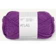 5045 plum
