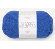 5845 dazzling blue