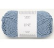 Blå hortensia 6032
