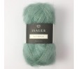 67 eucalyptus