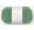 8062 myrthe