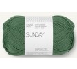 8073 elma green