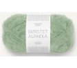 8532 pistacie