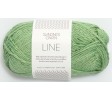 Pistacie 8533