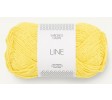 9004 lemon