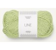 9523 lime punch