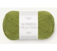 9564 matcha