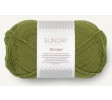 9564 matcha