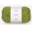 9564 matcha