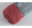 Madeira rose 361