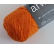 Calendula 365