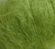 Lime 61