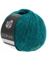 EcoPuno
