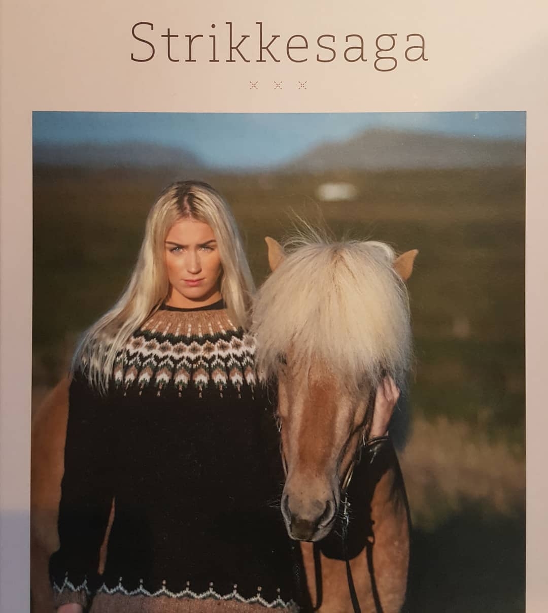 STRIKKESAGA - En fantastisk bog strik, skrevet og af Richter